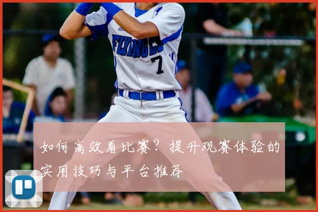 如何高效看比赛？提升观赛体验的实用技巧与平台推荐
