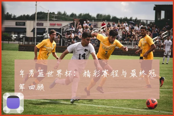 年男篮世界杯：精彩赛程与最终冠军回顾